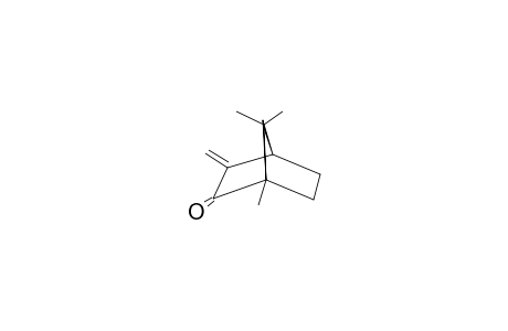 (+)-(1R,4S)-1,7,7-TRIMETHYL-3-METHYLENEBICYCLO-[2.2.1]-HEPTAN-2-ONE;(ALPHA-METHYLENECAMPHOR)