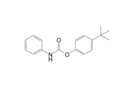 carbanilic acid, p-tert-butylphenyl ester