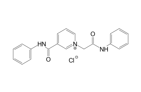 3-(phenylcarbamoyl)-1-[(phenylcarbamoyl)methyl]pyridinium chloride