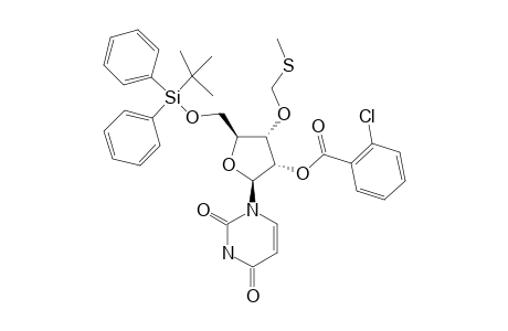 2'-O-(ORTHO-CHLOROBENZOYL)-5'-O-(TERT.-BUTYLDIPHENYLSILYL)-3'-O-[(METHYLTHIO)-METHYL]-URIDINE