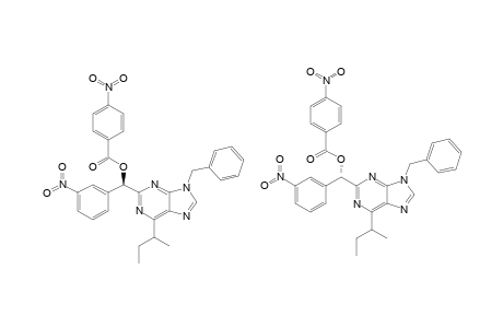 9-BENZYL-2-[(3-NITROPHENYL)-(4-NITROBENZOYLOXY)-METHYL]-6-(BUT-2-YL)-PURINE