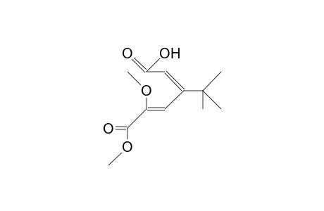 2-Methoxy-4-tert.-butyl-2(E),4(Z)-hexadienedioic-acid-1-methylester