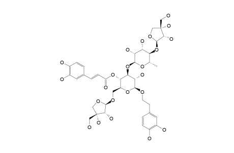 #2;LUNARIIFOLIOSIDE;2-(3,4-DIHYDROXYPHENYL)-ETHYL-O-BETA-APIOFURANOSYL-(1->6)-O-[O-BETA-APIOFURANOSYL-(1->4)-ALPHA-L-RHAMNOPYRANOSYL-(1->3)]-4-O-(E)-CAFFEOYL-B