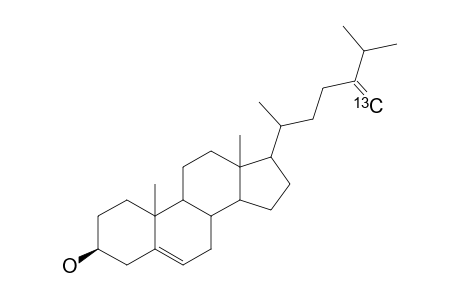 [28-(13)-C]-ERGOSTA-5,24(28)-DIEN-3-BETA-OL