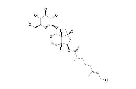 NEMOROSIDE;6-O-FOLIAMENTHOYLAJUGOL