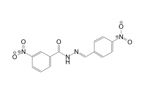 3-nitro-N'-[(E)-(4-nitrophenyl)methylidene]benzohydrazide