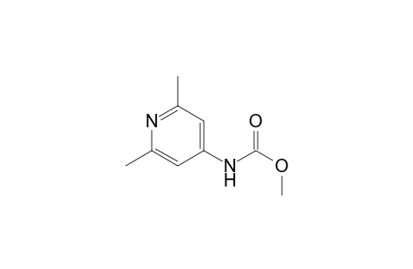 Methyl N-(2,6-dimethyl-4-pyridyl)carbamate