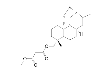 METHYL-19-MALONYLOXY-ENT-STEMAR-13(14)-ENE