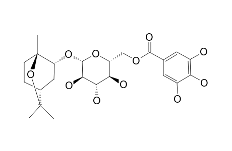 GLOBULUSIN-A;(1-S,2-S,4-R)-TRANS-2-HYDROXY-1,8-CINEOLE-2-O-BETA-D-(6'-GALLOYL)-GLUCOPYRANOSIDE