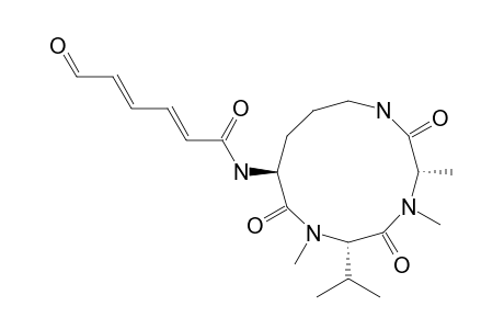 SCLEROTIOTIDE_F;(2-E,4-E)-CYCLO-[(N-ME-L-ALA)-(N-ME-L-VAL)-(N-(ALPHA)-6-OXOHEXA-2,4-DIENOYL-L-ORN)]