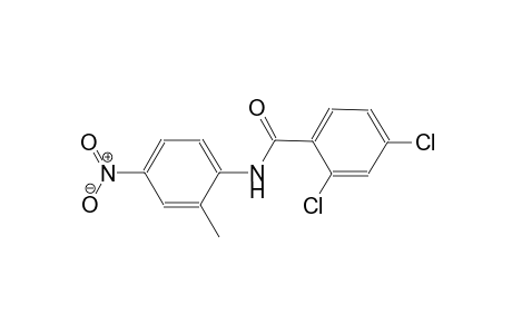 benzamide, 2,4-dichloro-N-(2-methyl-4-nitrophenyl)-