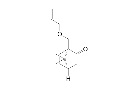 (1R,4R)-10-(Allyloxy)camphor