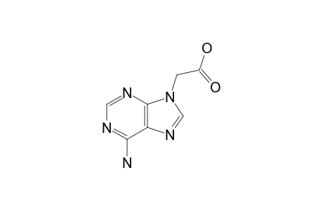 ADENIN-9-YLACETIC_ACID