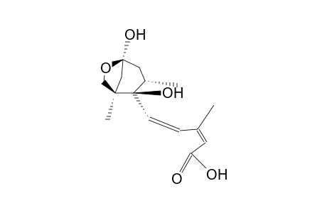 (1'R,2'R)-8'-HYDROXY-2',3'-DIHYDROABSCISIC ACID (HEMI-KETAL FORM)