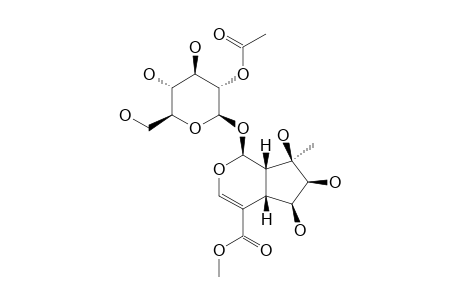 PHLORIGIDOSIDE-A