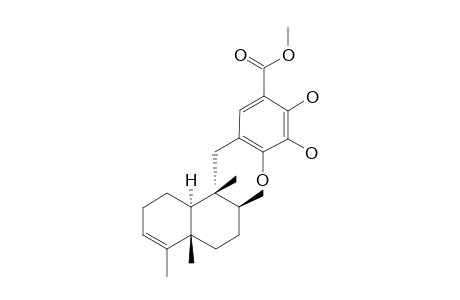 NAKIJINOL-C