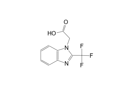 [2-(trifluoromethyl)-1H-benzimidazol-1-yl]acetic acid