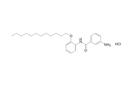 3-amino-2'-(dodecyloxy)benzanilide, monohydrochloride