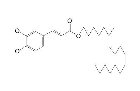 6-METHYLHEPTADECANOYL_CAFFEATE