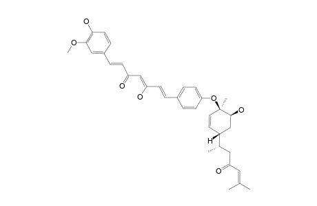 TERPECURCUMIN_G