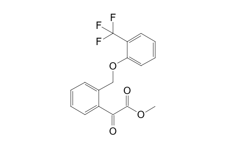 2-keto-2-[2-[[2-(trifluoromethyl)phenoxy]methyl]phenyl]acetic acid methyl ester