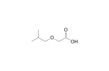 isobutoxyacetic acid