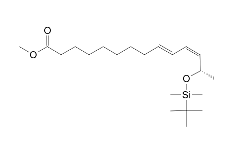 (13-S,9-Z,11-E)-METHYL_13-TERT.-BUTYLDIMETHYLSILYLOXY-9,11-TETRADECADIENOATE