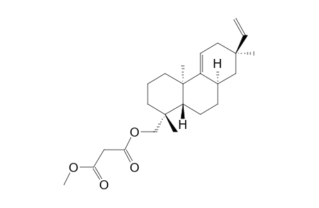 METHYL-19-MALONYLOXY-ENT-PIMARA-9(11),15-DIENE