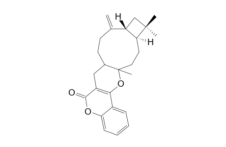 #26A;(7ASR,11S,14R,16ARS)-7,7A,8,9,11,12,13,14,15,16-DECAHYDRO-13,13,16A-TRIMETHYL-10-METHYLENE-6H,10H,16AH-BICYClO-[7.2.0]-UNDECANO-[5',4':5,6]-PYRANO-[3,2-