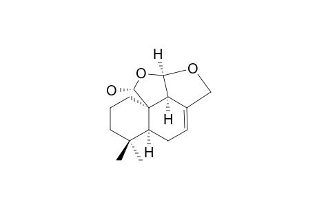 EPI-MARASMENE_B