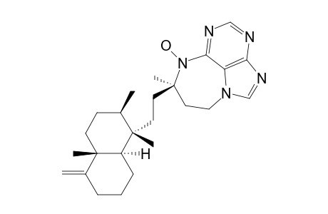 ASMARINE-A