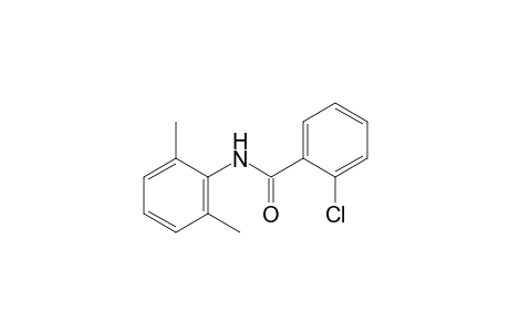 2-chloro-2',6'-benzoxylidide