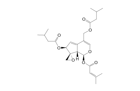 SORBIFOLIVALTRATE_A;1-(3-METHYLCROTONYL)-7,11-DI-ISO-VALERYL_VALTRATE