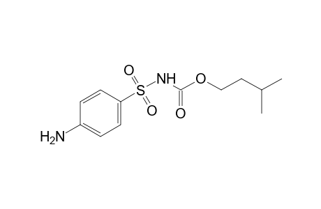 sulfanilylcarbamic acid, isopentyl ester