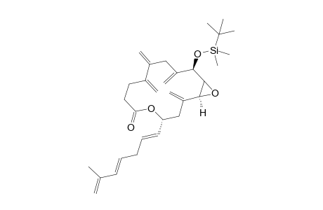 (1S,4R, 13R)-13-[(t-Butyl)dimethylsilyloxy]-2,9,10,12-tetramethylene-4-[(1E,4E)-6'-methylhepta-1',4',6'-trienyl]-5,15-dioxabicyclo[12.1.0]pentadecan-6-one