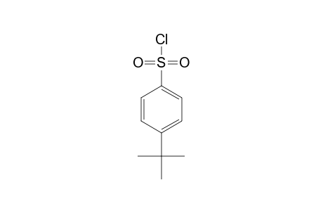 4-tert-Butylbenzenesulfonyl chloride