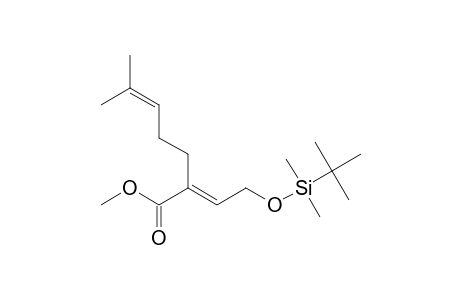 METHYL-(2E)-2-[2-[[TERT.-BUTYL-(DIMETHYL)-SILYL]-OXY]-ETHYLIDENE]-6-METHYL-HEPT-5-ENOATE