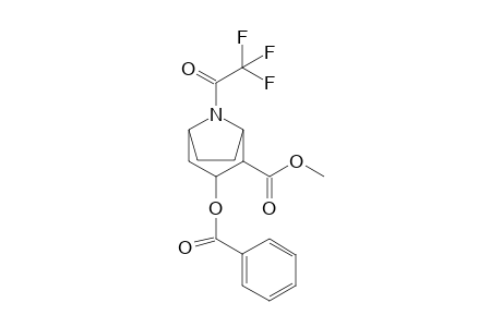 Cocaine-M (nor-) TFA                @