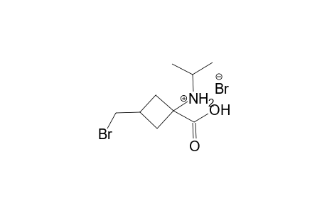 3-(Bromomethyl)-1-[(1-methylethyl)amino]cyclobutanecarboxylic acid bromide