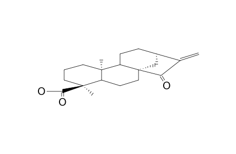 ENT-KAUR-16-EN-15-OXO-18-OIC ACID