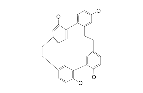 Isoplagiochin C