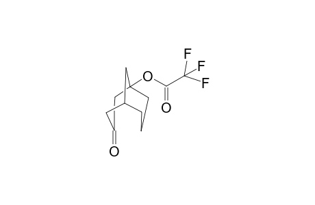 3-Oxobicyclo[3.3.1]nonan-1-yl .alpha.-trifluoroacetate