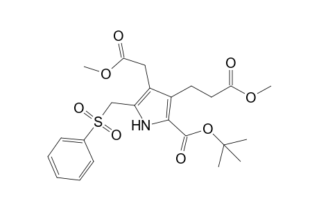 5-(benzenesulfonylmethyl)-4-(2-methoxy-2-oxoethyl)-3-(3-methoxy-3-oxopropyl)-1H-pyrrole-2-carboxylic acid tert-butyl ester