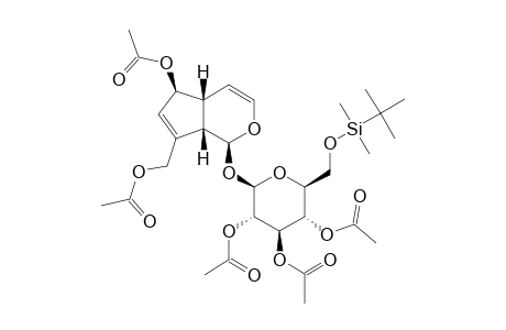 ,10,2',3',4'-PENTA-O-ACETYL-6'-O-TERT.-BUTYLDIMETHYLSILYLAUCUBIN