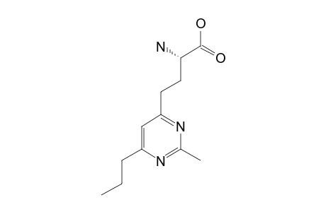 (S)-GAMMA-(2-METHYL-6-PROPYLPYRIMIDIN-4-YL)-ALPHA-AMINOBUTYRIC-ACID