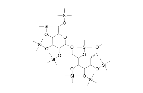 Isomaltose methoxime, octa-TMS, isomer 1