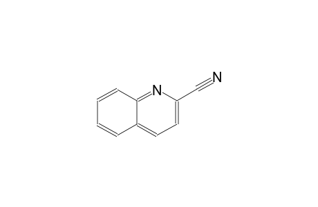 quinaldonitrile