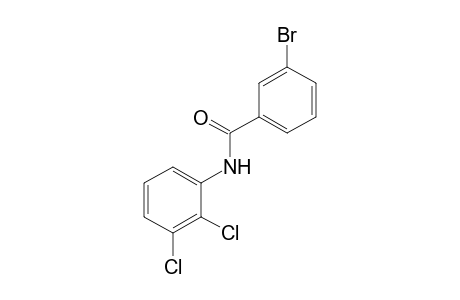 3-bromo-2',3'-dichlorobenzanilide