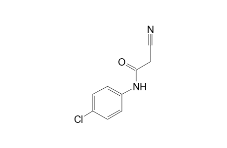 4'-Chloro-2-cyanoacetanilide