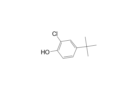 4-tert-Butyl-2-chlorophenol